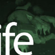 Image for article titled Best Stories of Today, February 16, 2011